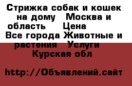 Стрижка собак и кошек на дому.  Москва и область.  › Цена ­ 1 200 - Все города Животные и растения » Услуги   . Курская обл.